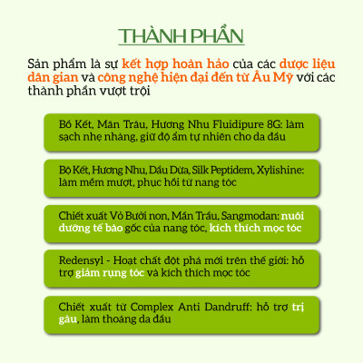 Dầu Gội Thảo Dược ECOCARE PREMIUM 300ml Đạt Chuẩn CGMP, Dầu Gội Xả Thiên Nhiên Sạch Gàu, Phục Hồi Hư Tổn