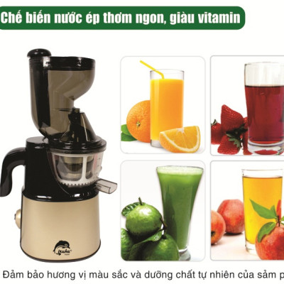 Máy Ép Trái Cây Tốc Độ Chậm Nguyên Trái Iruka I-52 (150W) - Hàng chính hãng