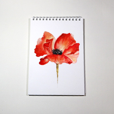 Sổ vẽ màu nước chuyên dụng A5 có vân, dòng cao cấp lên màu đẹp loang màu tự nhiên vẽ được cả chì, 15 tờ/cuốn chất giấy dày 300gsm nhập từ Ý không bị cong TIG373 Green Art - Hàng chính hãng