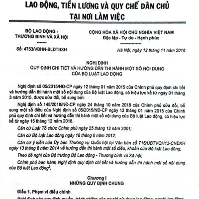 Bộ Luật lao Động - chính Sách tiền lương, Hướng dẫn chi tiết thi hành luật bảo hiểm xã hội, bảo hiểm thất nghiệp ....