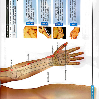 Đồ Giải Kinh Lạc Huyệt Vị - Nam Giới (Tái Bản 2023 )