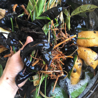 Dầu gội thảo mộc ngăn ngừa rụng tóc sau sinh