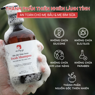 Combo 2 Dầu gội thảo dược Fresh Shampoo giảm rụng tóc, giảm gàu, nuôi dưỡng tóc mềm mượt và chắc khỏe từ gốc