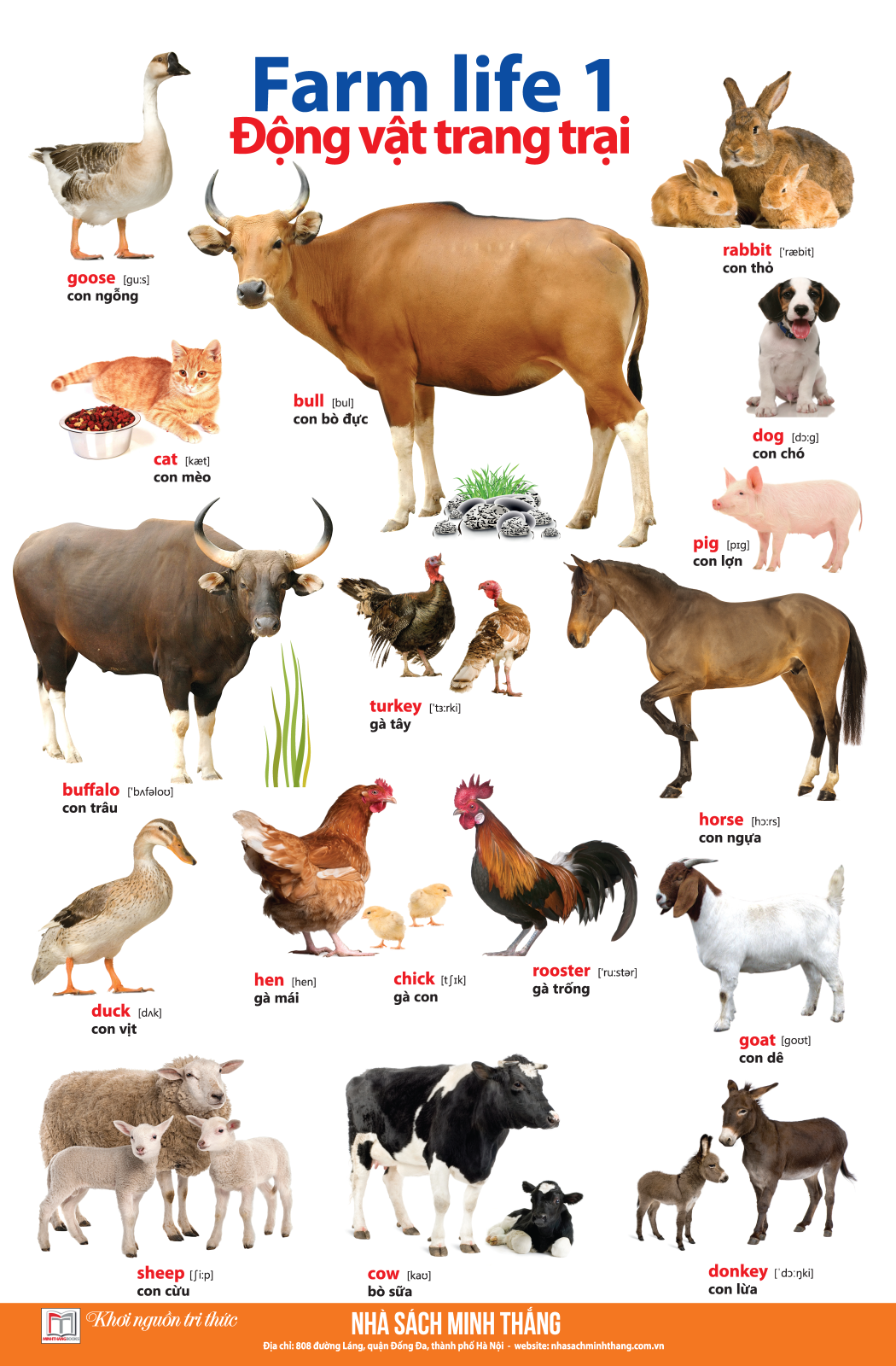 Learing English By Pictures - Học Tiếng Anh Bằng Hình Ảnh - Tập 1 (Tái Bản)