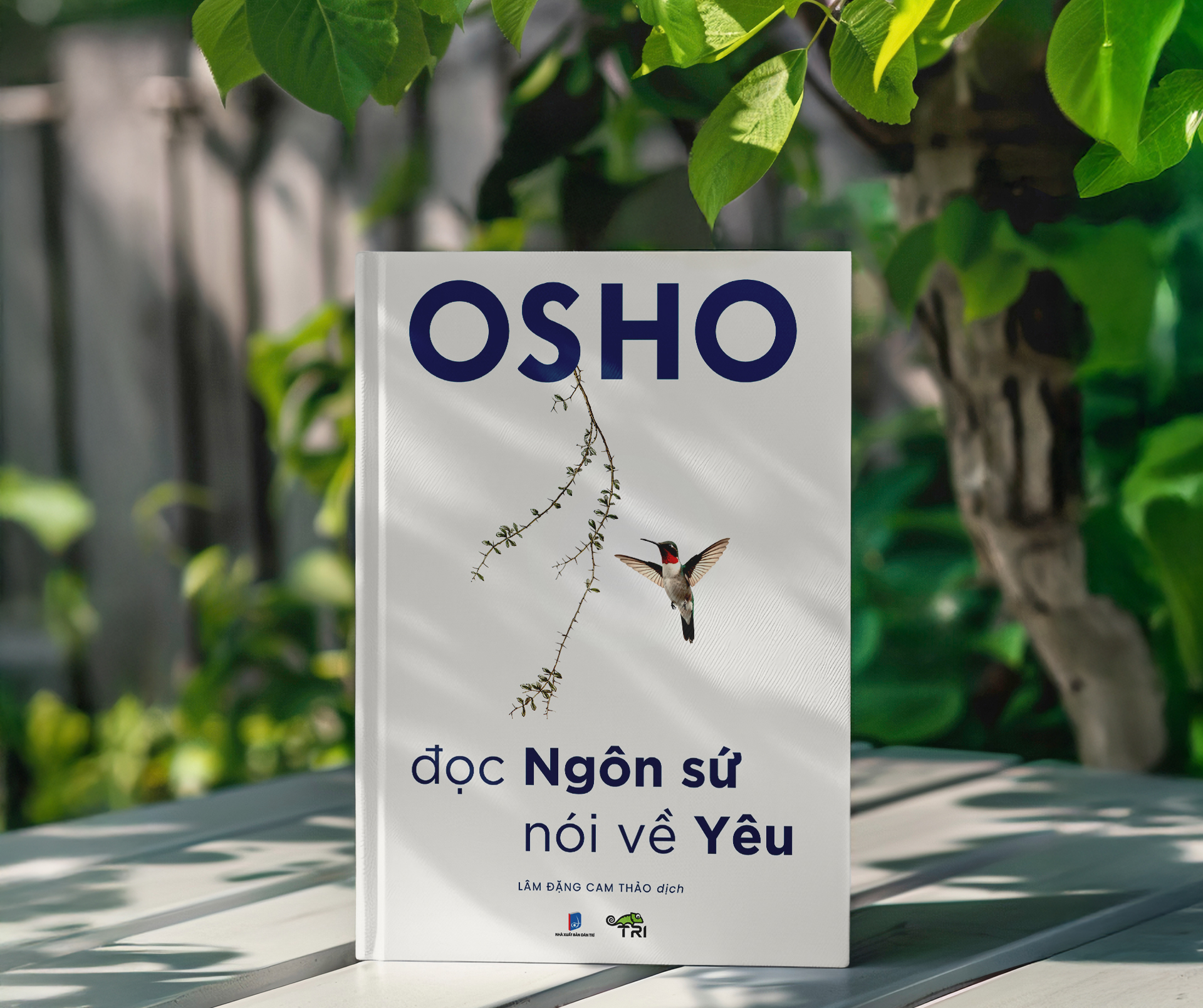 Đọc Ngôn Sứ, nói về Yêu - OSHO