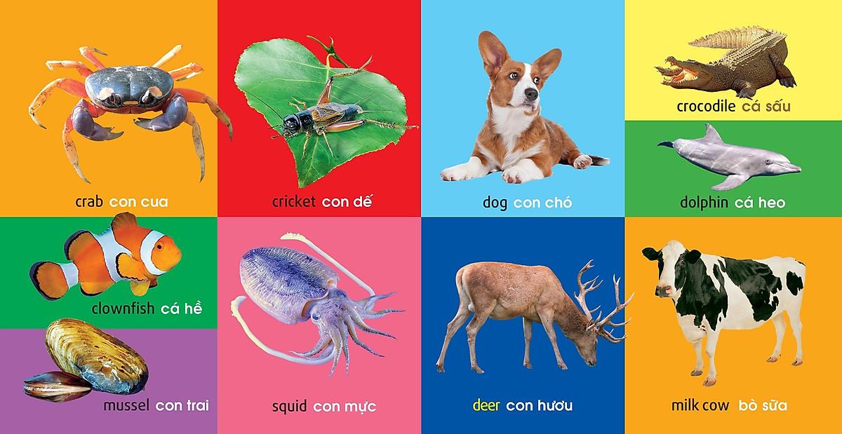 101 Từ Đầu Tiên: Động Vật (Tái Bản 2021)