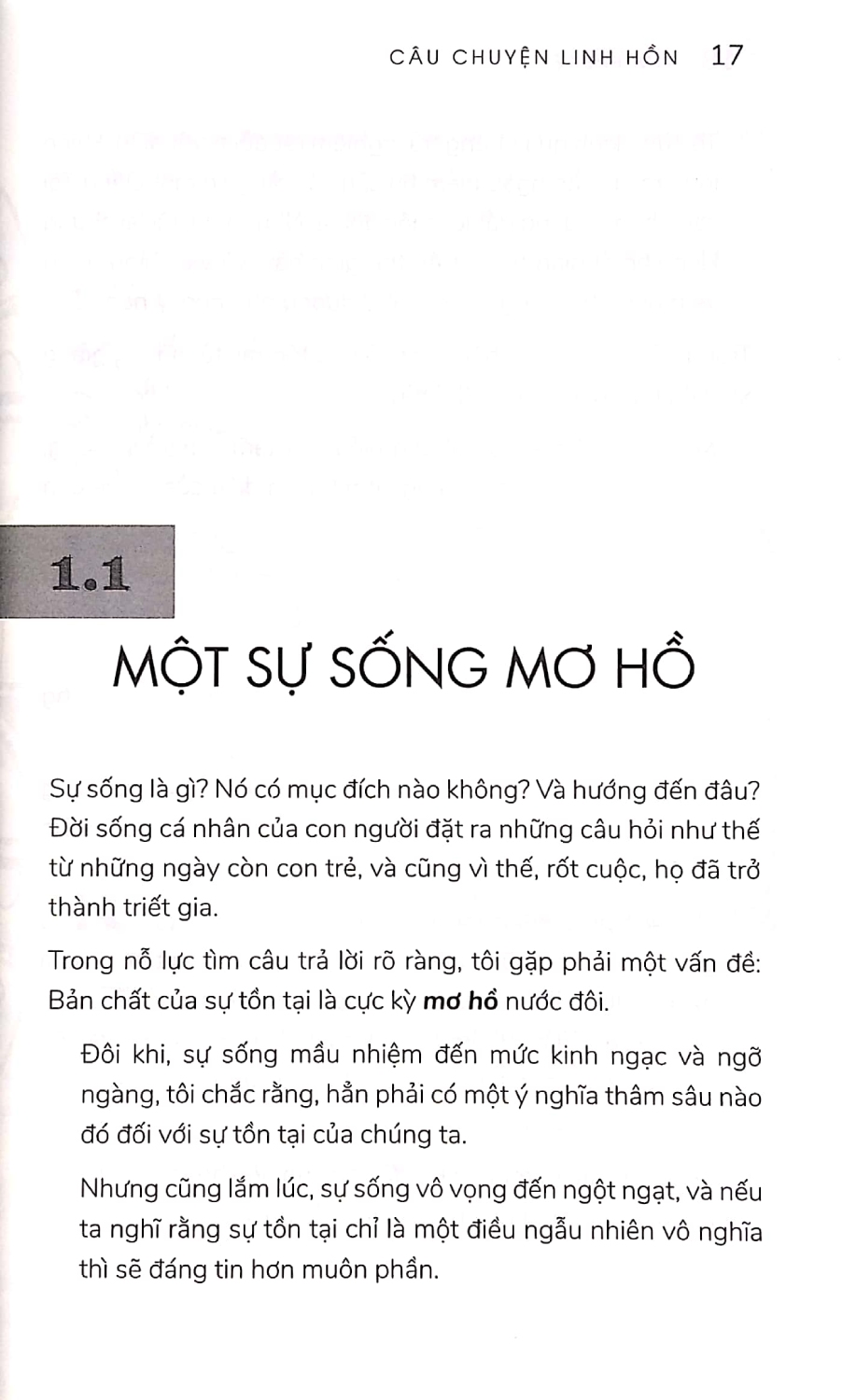 Câu Chuyện Linh Hồn - Chuyến Du Ngoạn Kỳ Bí Và Mầu Nhiệm Về Mục Đích Cuộc Đời (VL)
