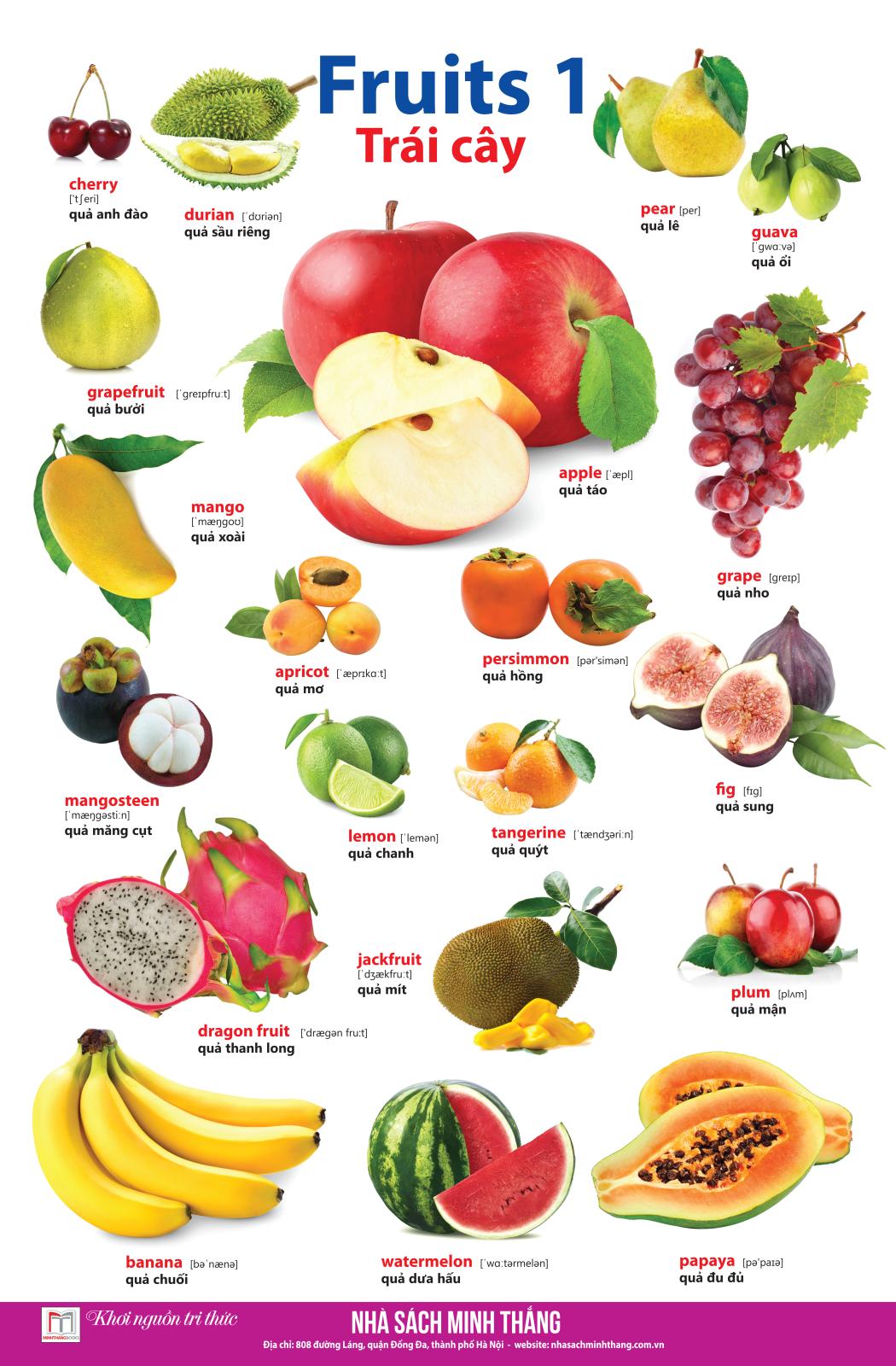 Learing English By Pictures - Học Tiếng Anh Bằng Hình Ảnh - Tập 1 (Tái Bản)