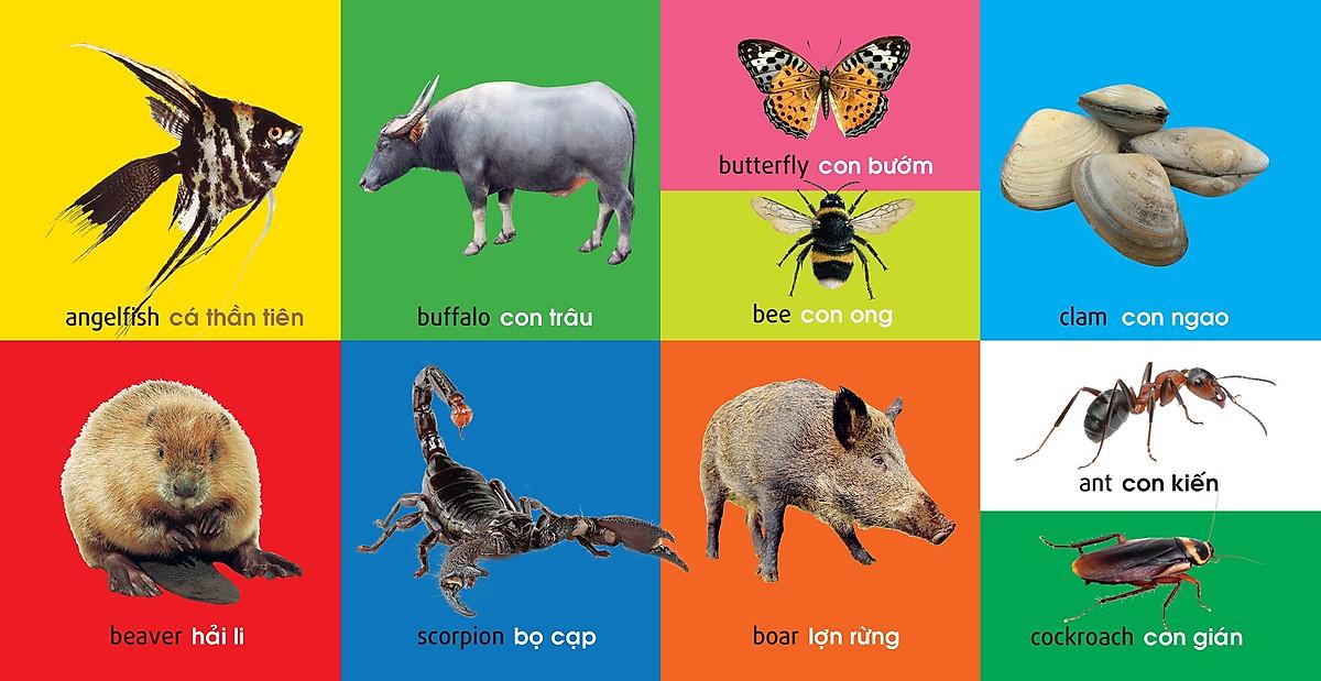 101 Từ Đầu Tiên: Động Vật (Tái Bản 2021)