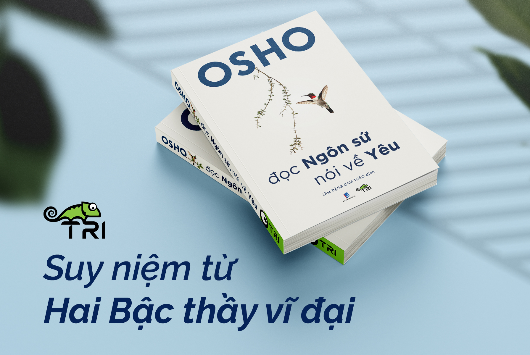 Đọc Ngôn Sứ, nói về Yêu - OSHO