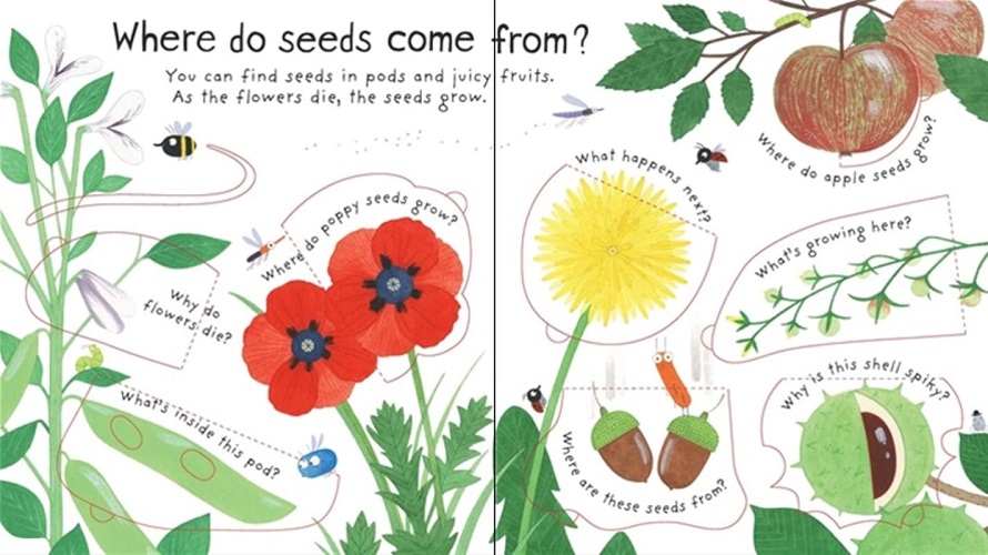 Sách tương tác tiếng Anh - Lift-The-Flap First Questions And Answers: How Do Flowers Grow?