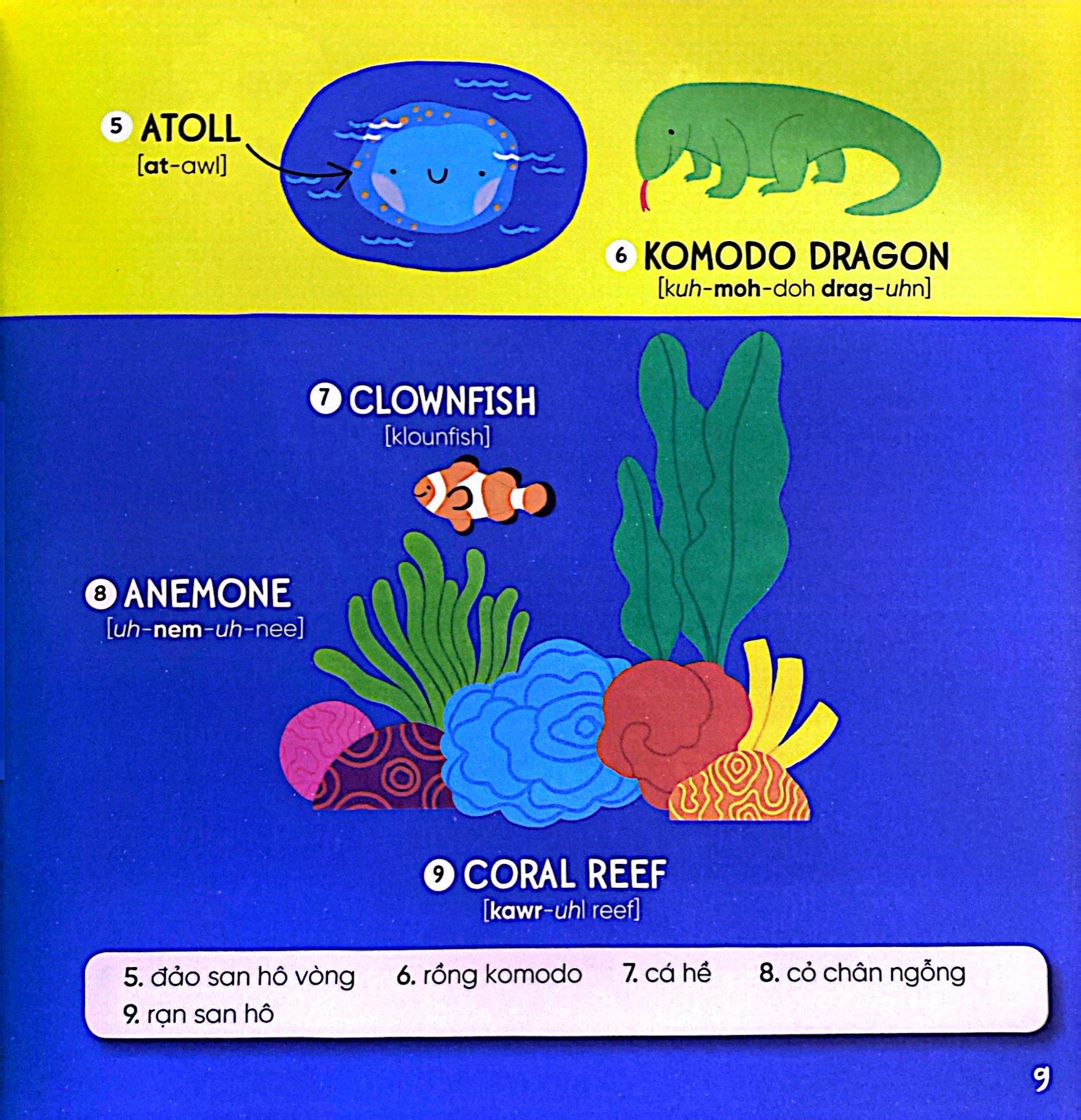 Steam Words Nature - Từ Vựng Về Tự Nhiên