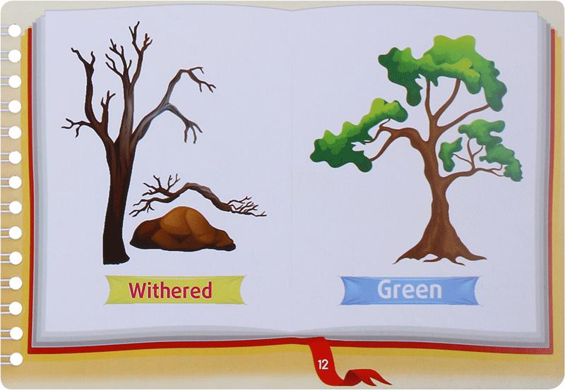 Những Cặp Từ Vựng Trái Nghĩa Và Trò Chơi Ghép Chữ - Opposite Words In Pictures (Tập 3)