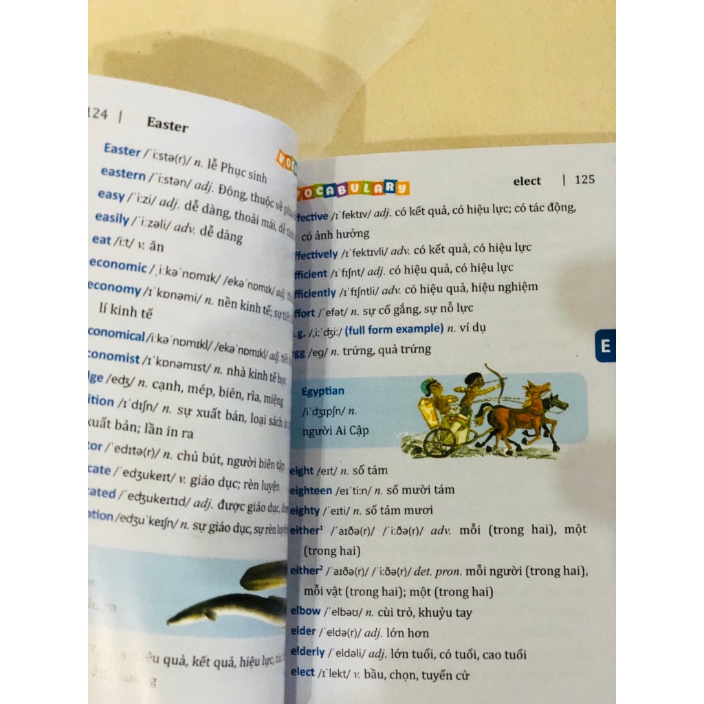 Sách - 5500 từ vựng tiếng Anh thông dụng nhất (bản màu)
