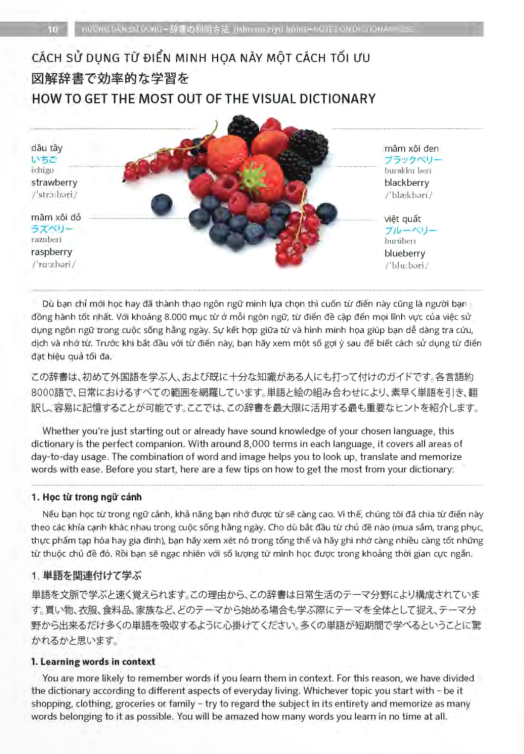 PONS GENERAL REFERENCE – TRILINGUAL VISUAL DICTIONARY Vietnamese–Japanese–English
