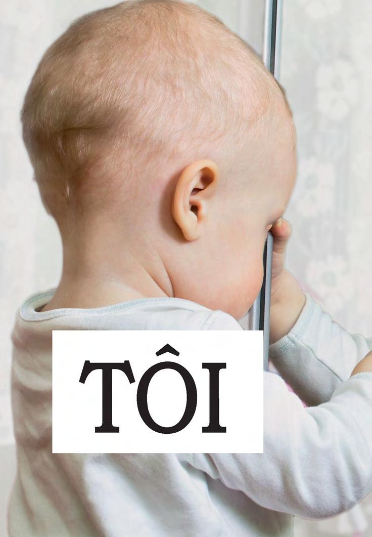 Học Tự Vựng Tiếng Anh Qua Hình Và Ví Dụ Minh Họa