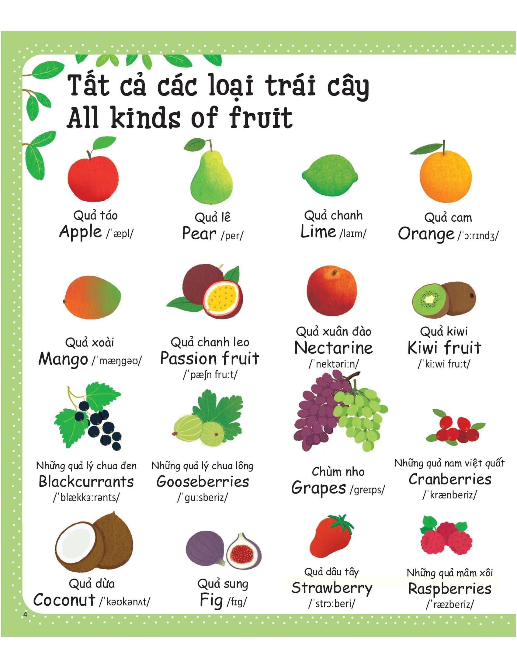 Cuốn Sách Từ Vựng Đầu Tiên Của Tôi - My First Word Book- Thức Ăn - Food