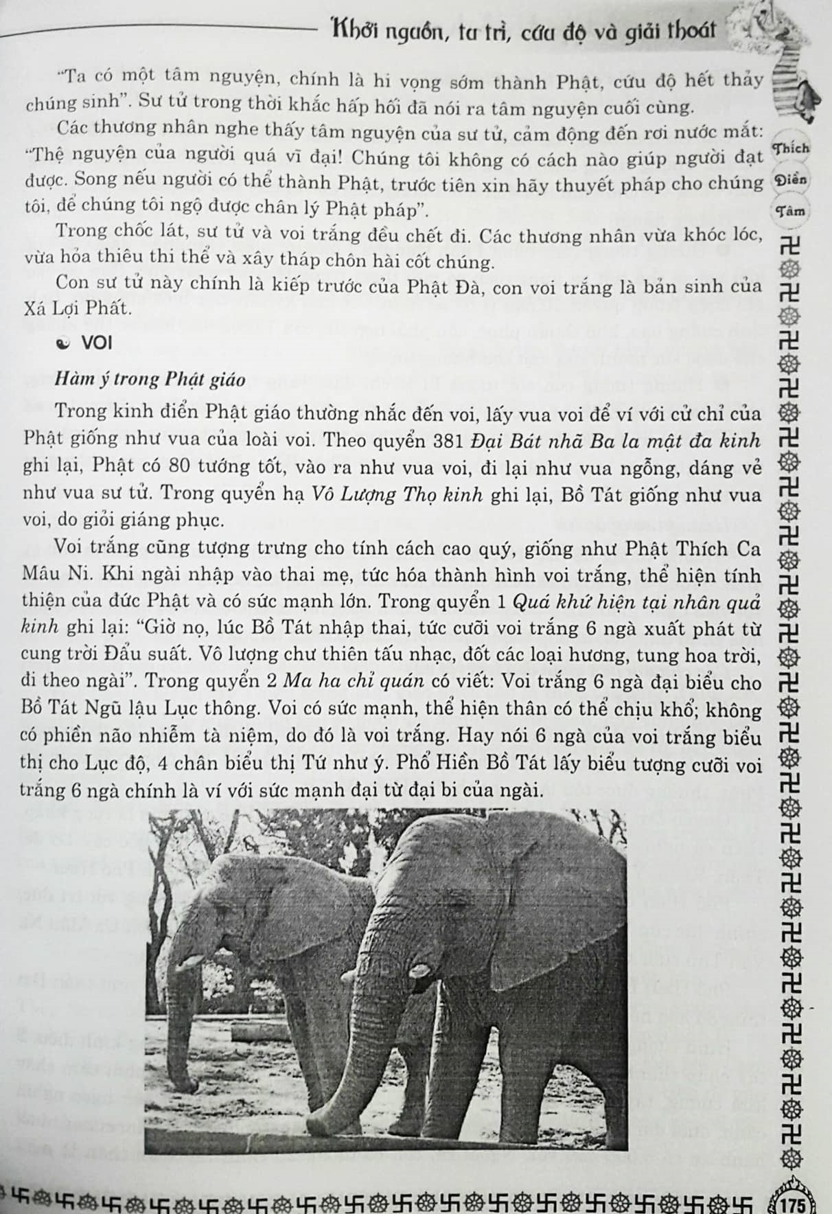 Phật Học Tinh Hoa - Khởi Nguồn, Tu Trì, Cứu Độ