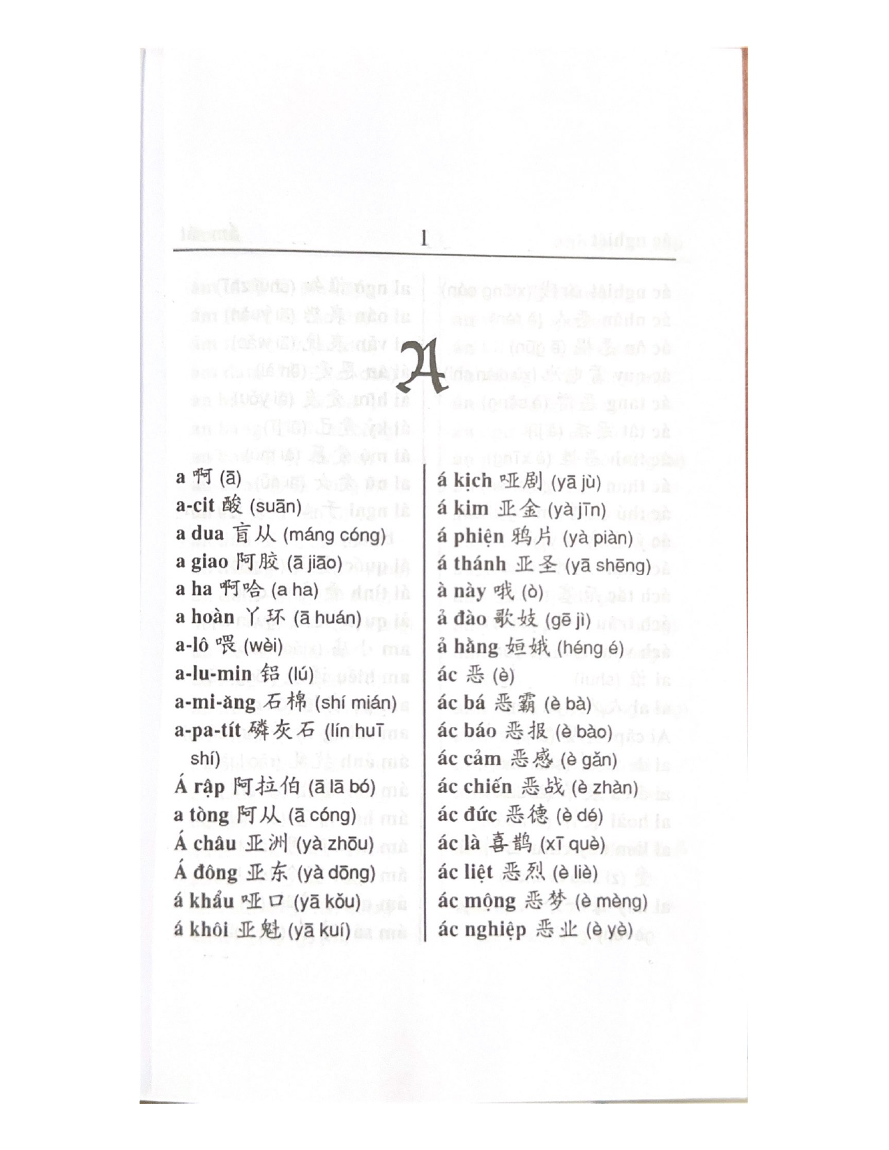 Từ Điển Việt - Hoa - Vanlangbooks - Tái Bản
