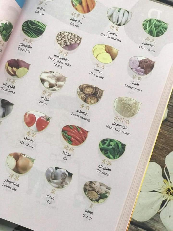 Combo 2 sách Phân tích đáp án các bài luyện dịch Tiếng Trung và Make your Chinese map Bản đồ tư duy từ vựng Tiếng Trung theo chủ đề +DVD tài liệu