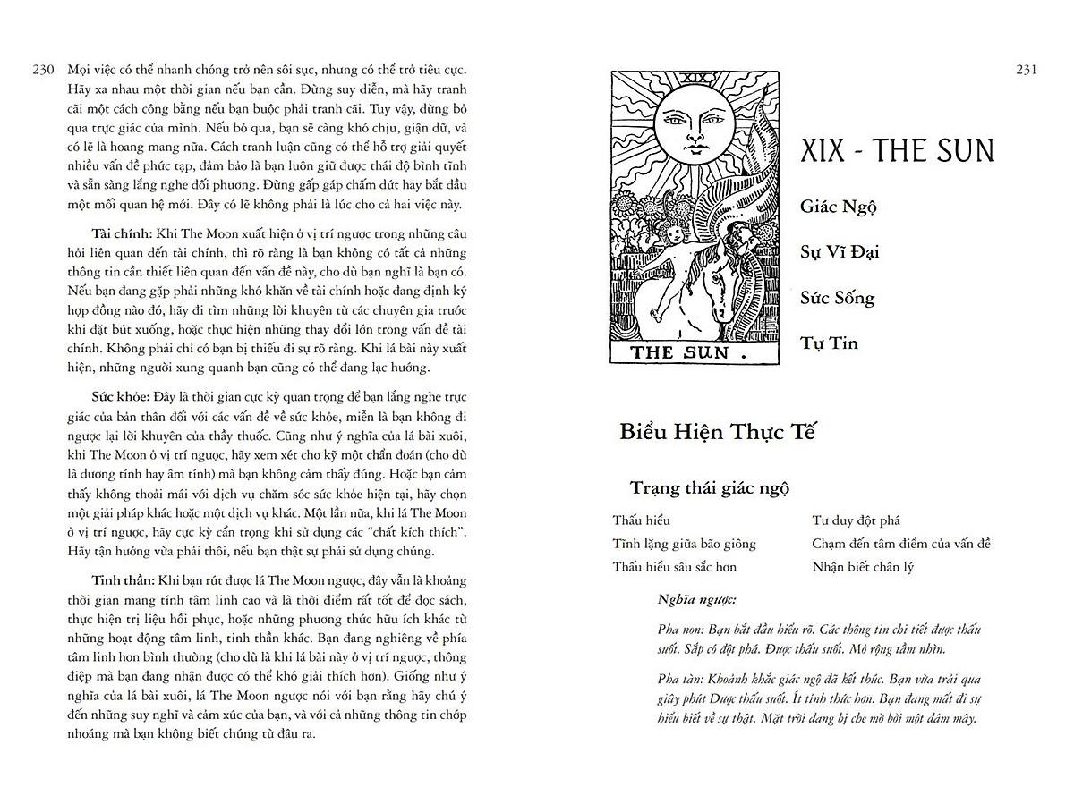 Học Tarot Cho Người Mới