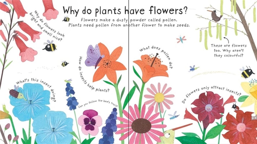 Sách tương tác tiếng Anh - Lift-The-Flap First Questions And Answers: How Do Flowers Grow?