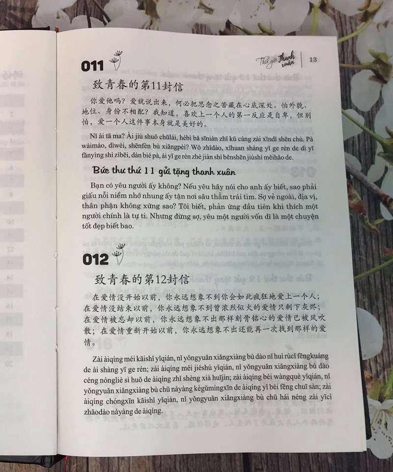 Combo 2 sách Phân tích đáp án các bài luyện dịch Tiếng Trung và gởi tôi thời thanh xuân song ngữ Trung việt có phiên âm có mp3 nghe+ DVD tài liệu