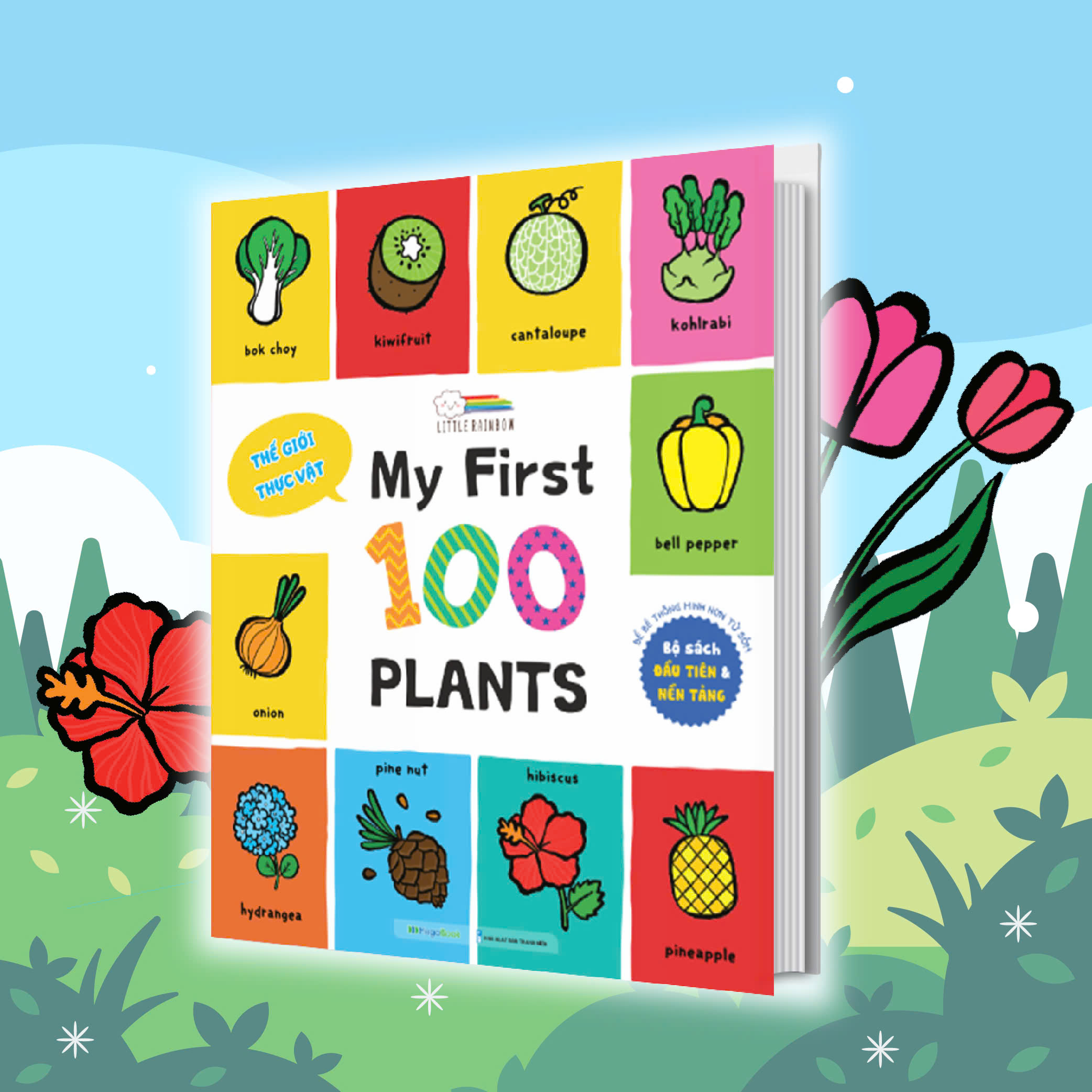 Combo My First 100 Plants - 100 Alphabet - Transport & Jobs (3 cuốn)
