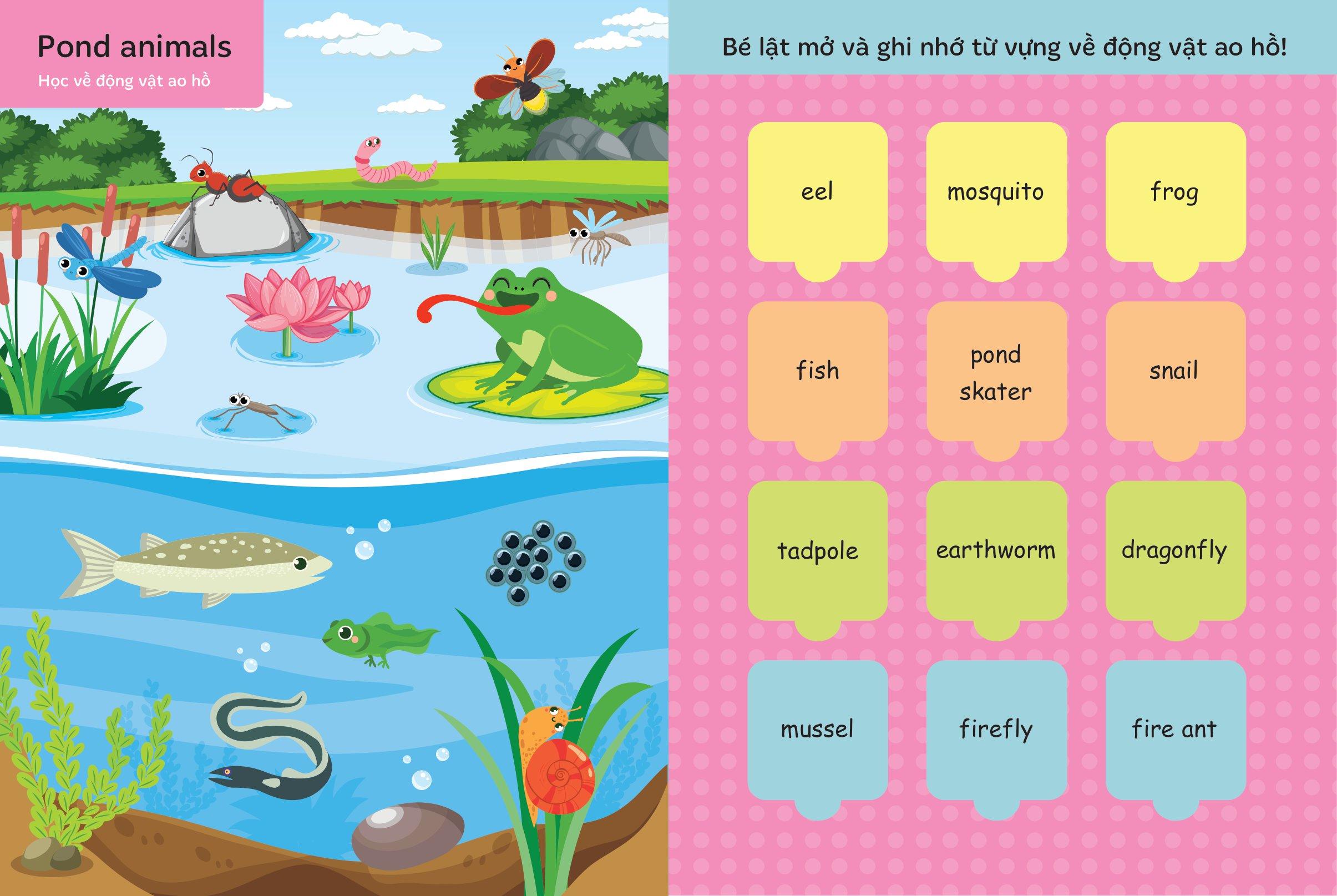 Lật Mở Từ Vựng Tiếng Anh Đầu Tiên Cho Bé - Cuốn 3