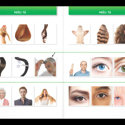 Trò Chuyện Khi Đi Du Lịch 100% Bằng Hình