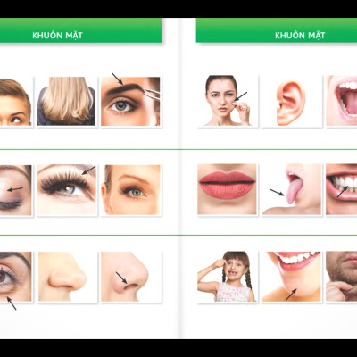 Trò Chuyện Khi Đi Du Lịch 100% Bằng Hình