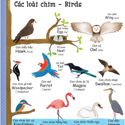 Cuốn Sách Từ Vựng Đầu Tiên Của Tôi - My First Word Book- Thiên Nhiên - Nature