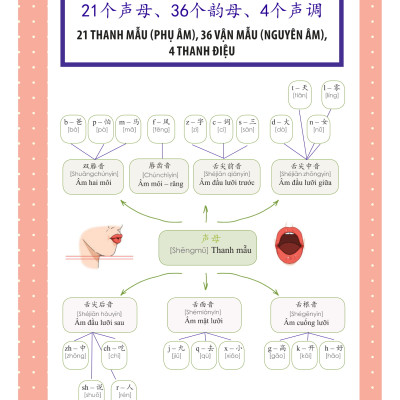 Sách-Combo 2 sách Sổ tay từ vựng HSK1-2-3-4 và TOCFL band A + Học Nhanh Nhớ Lâu 1500 Từ Vựng Tiếng Trung Thông Dụng + DVD tài liệu