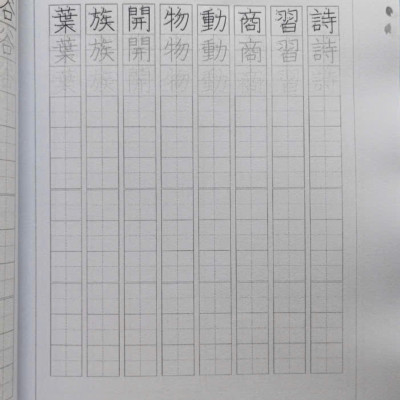 SÁCH TIẾNG NHẬT LUYỆN VIẾT KANJI VÀ TỪ VỰNG TIẾNG NHẬT