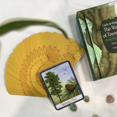 Cách sử dụng Bộ bài Wisdom of Trees Oracle