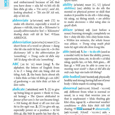 Từ điển Anh - Anh - Việt (Bìa Đen)