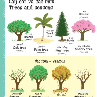 Cuốn Sách Từ Vựng Đầu Tiên Của Tôi - My First Word Book- Thiên Nhiên - Nature