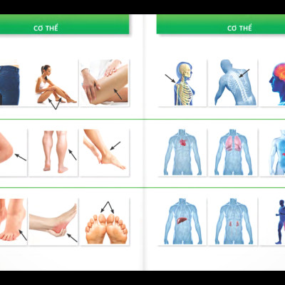 Trò Chuyện Khi Đi Du Lịch 100% Bằng Hình