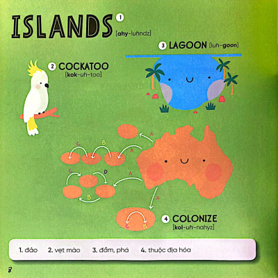 Steam Words Nature - Từ Vựng Về Tự Nhiên