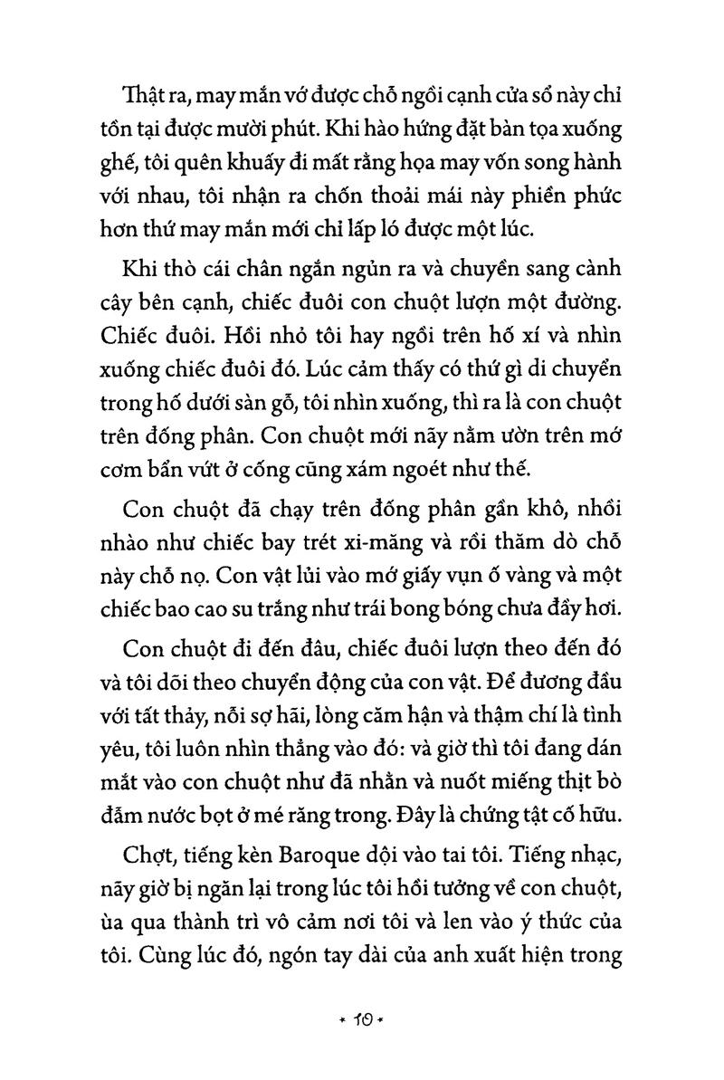 Món Quà Từ Cánh Chim