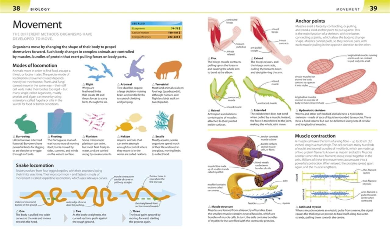 Help Your Kids with Science