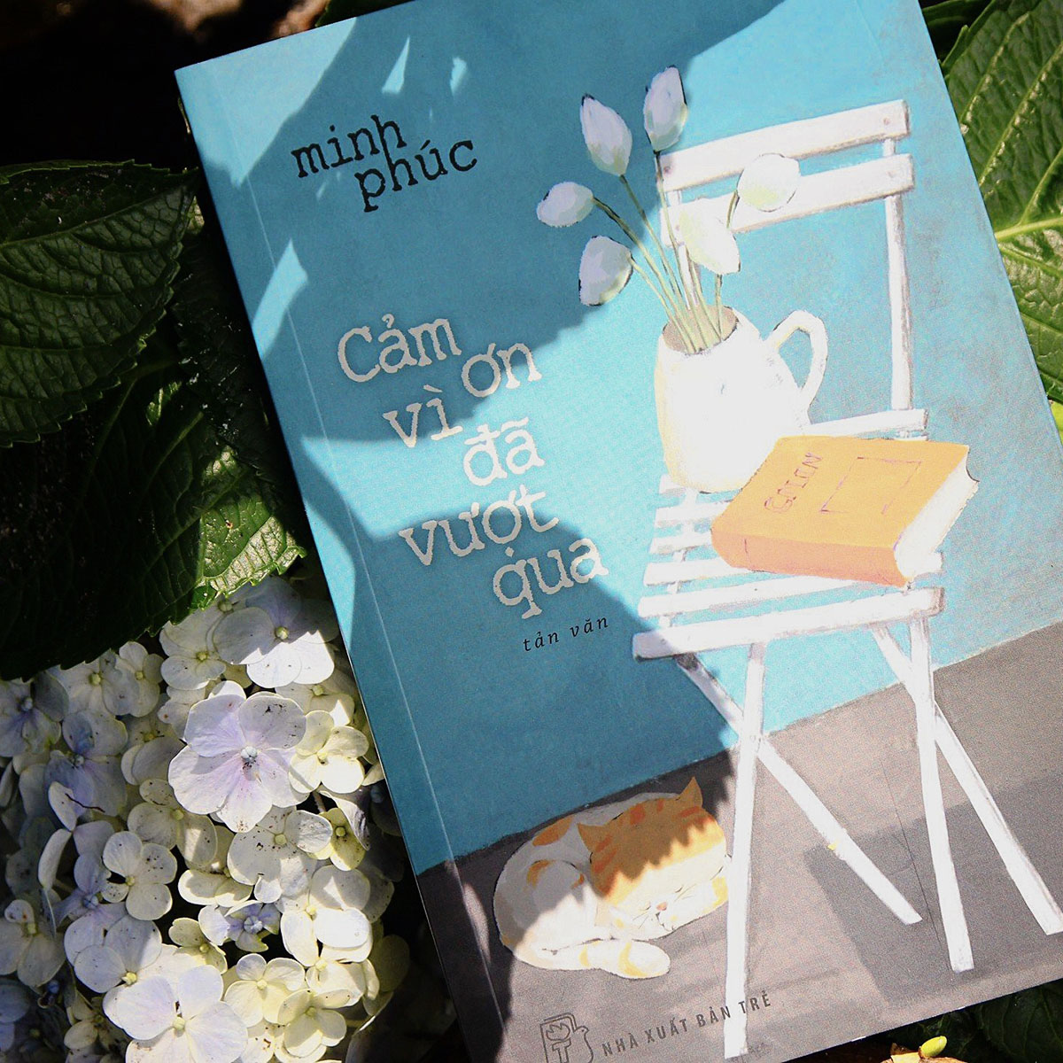 Cảm ơn vì đã vượt qua