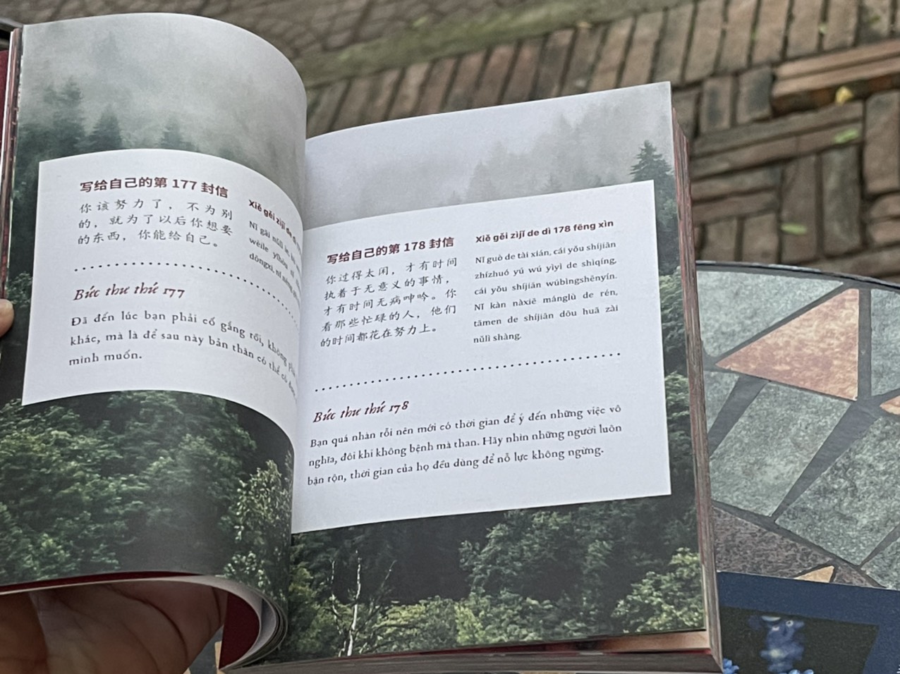 (Combo 2 tập - Phiên bản song ngữ Trung - Việt) 999 LÁ THƯ GỬI CHO CHÍNH MÌNH – Những lá thư ấn tượng nhất - Miêu Công Tử – AZ Việt Nam