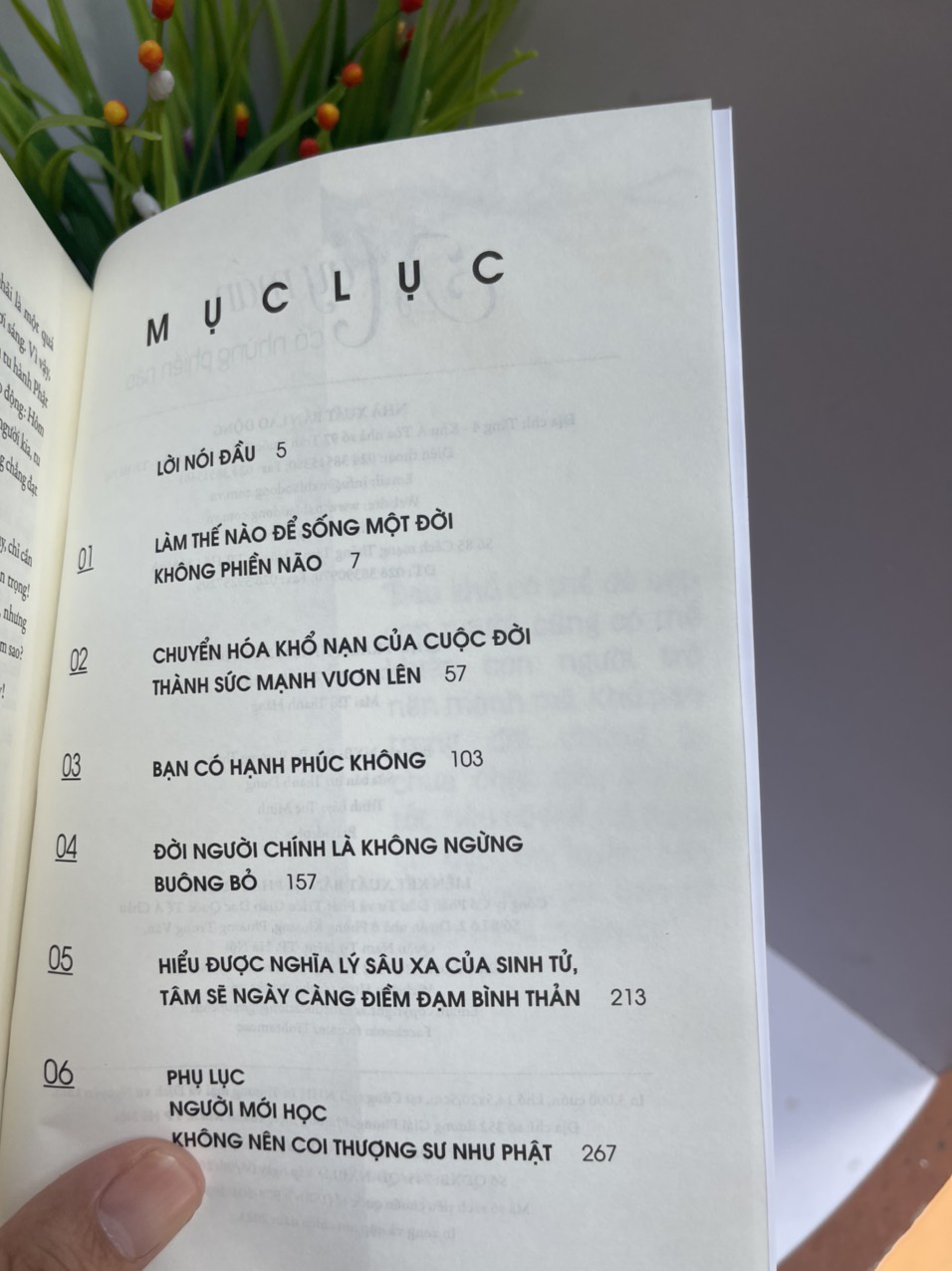 MAY MẮN CÓ NHỮNG PHIỀN NÃO - Khenpo Sodargye - Thuận Minh dịch - Achaubooks – NXB Lao Động