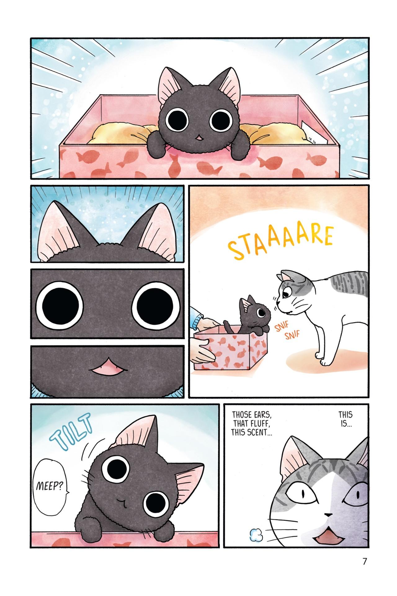 Sue & Tai-chan 1 (Graphic Novels)