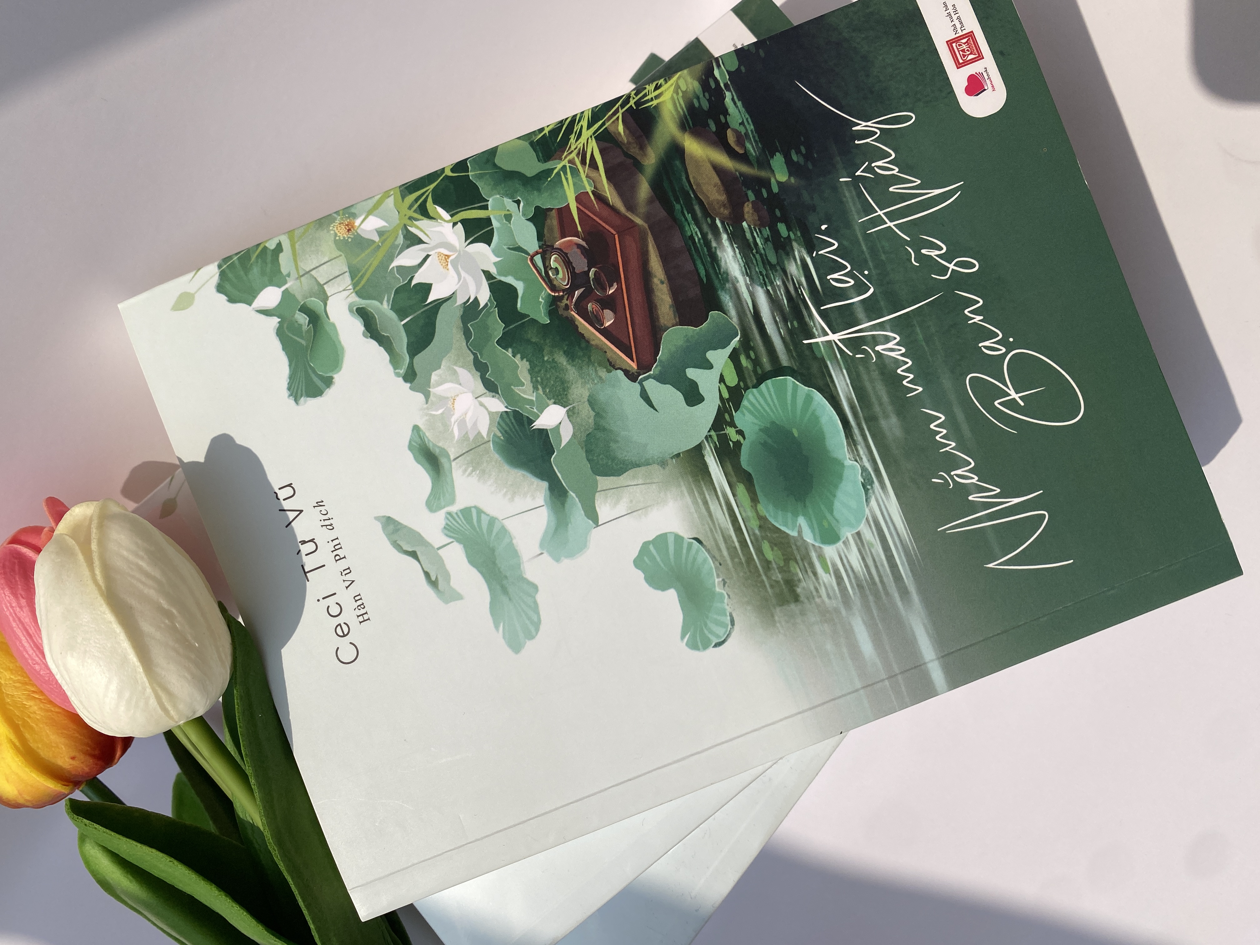 Sách - Nhắm mắt lại bạn sẽ thấy