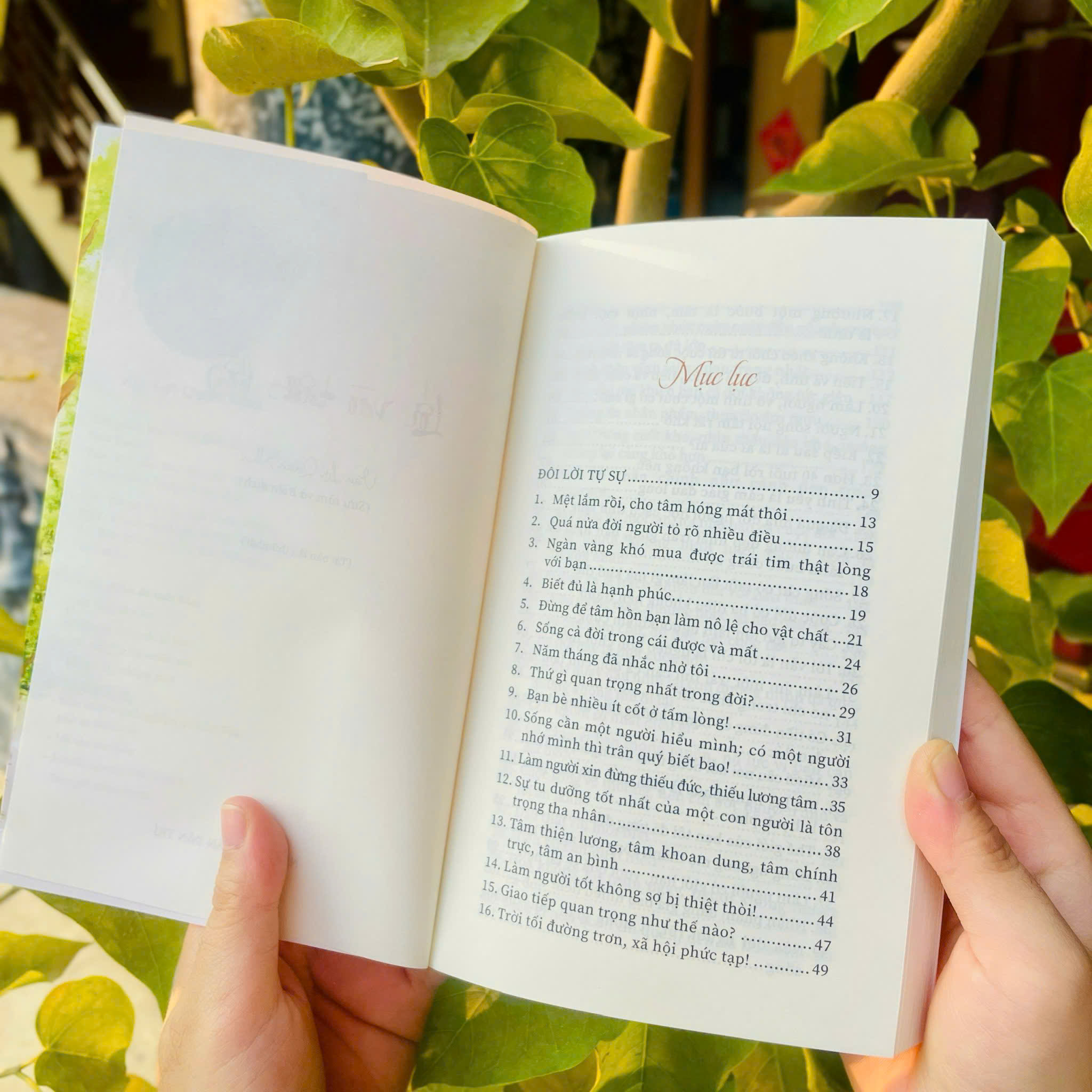 Sách - Lối Vào Tâm Hồn - Quán Như Vạn Lợi - Vĩnh Nghiêm Books