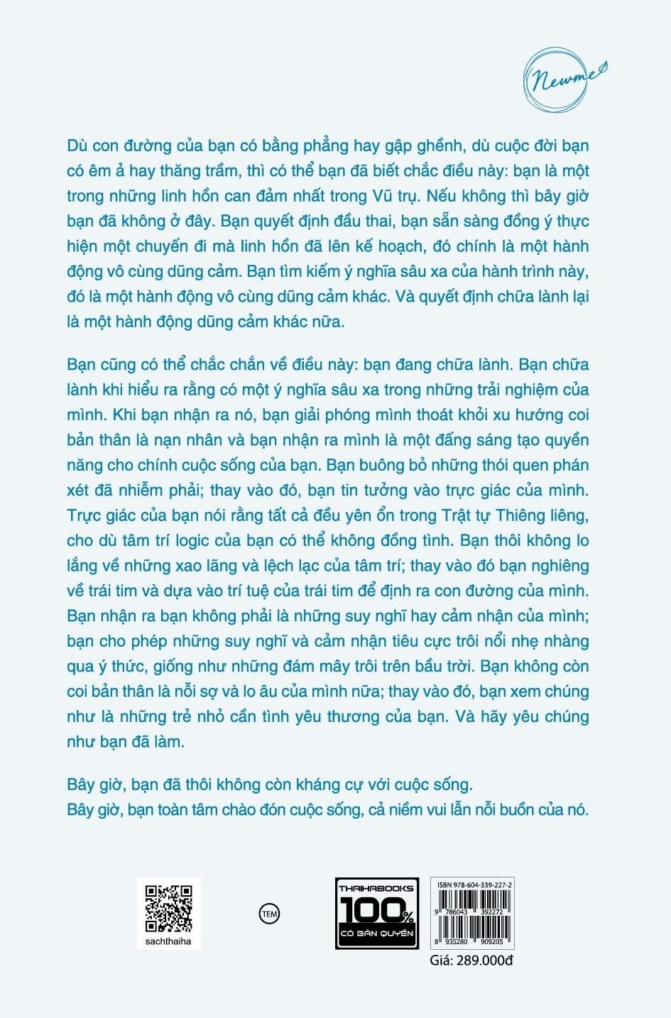 Sách Món Quà Của Linh Hồn - Sức Mạnh Chữa Lành Của Những Thử Thách Trong Cuộc Sống