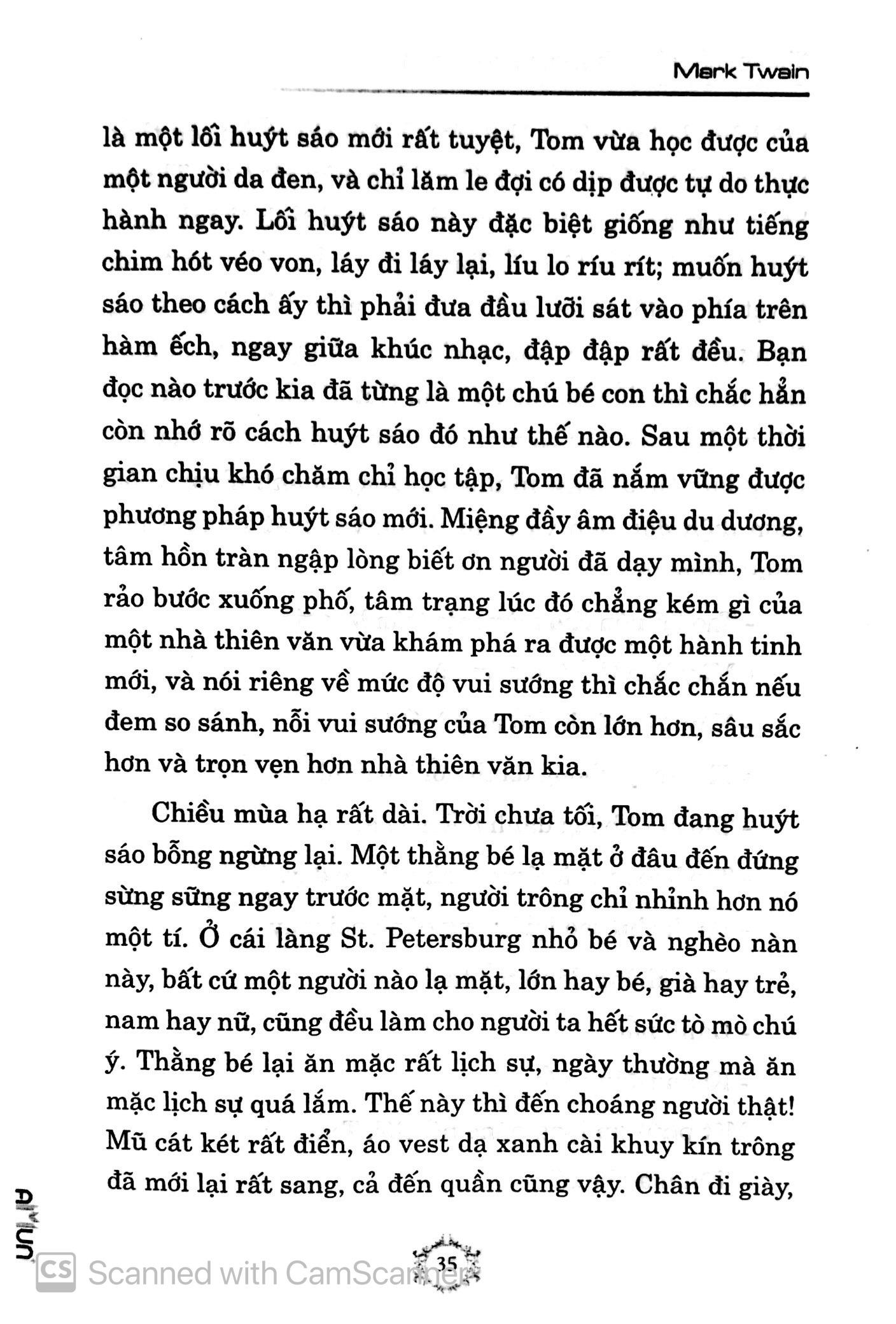 Những Cuộc Phiêu Lưu Của Tom Sawyer (Đinh Tị)