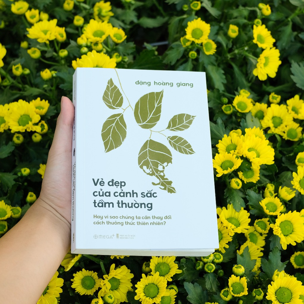 Vẻ Đẹp Của Cảnh Sắc Tầm Thường (Trạm Đọc)